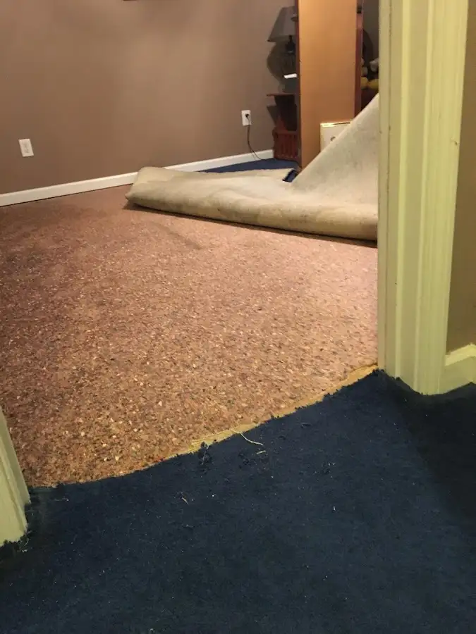 Carpet pad removal revealing water damage during Drying & Dehumidification in Union
